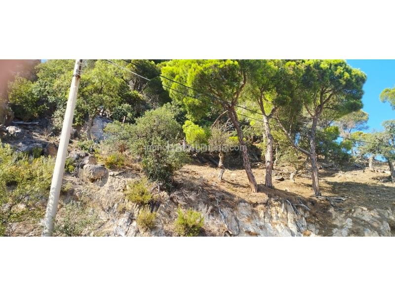 Foto e0f5fd13-0b0c-4adf-bd13-7d8bf64cab09. Terreno residenziale in Roca Grossa Lloret de Mar