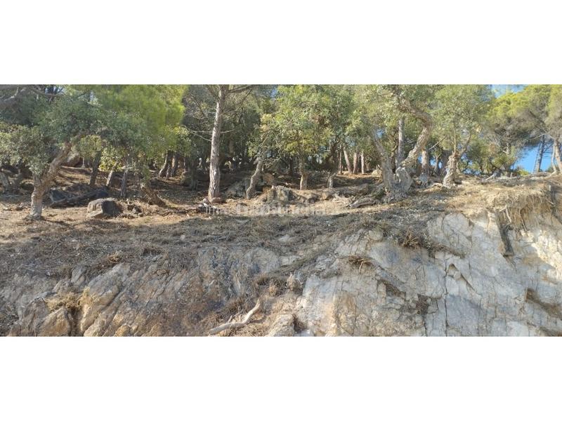 Foto ec61b6f0-1cc0-445d-bacb-c69c3520f229. Terreno residenziale in Roca Grossa Lloret de Mar