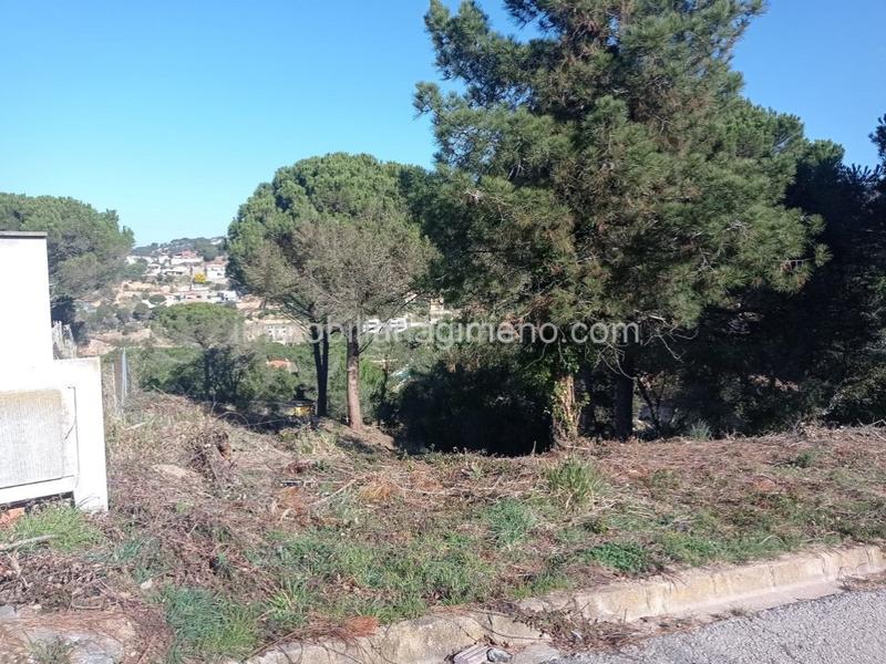 Foto 48109221-44fb-4c79-9d82-ece1e5974c99. Terreny residencial a Lloret Residencial - Montlloret Lloret de Mar