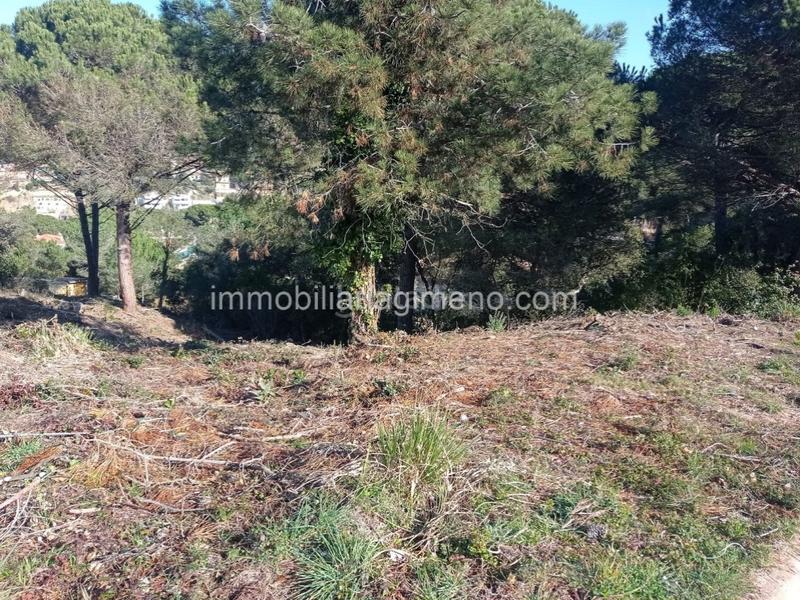 Foto a8d50cce-0860-41ef-a8e6-ca86c127ef93. Terreny residencial a Lloret Residencial - Montlloret Lloret de Mar