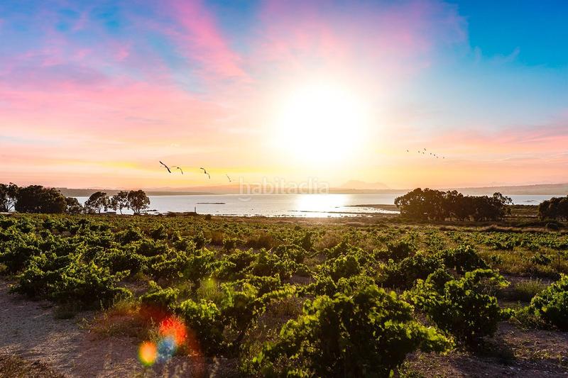 Foto 14a0e8e5-3d18-4b70-bb5c-aa806117845d. Casa in Zona Carrefour - Urbanizaciones Torrevieja