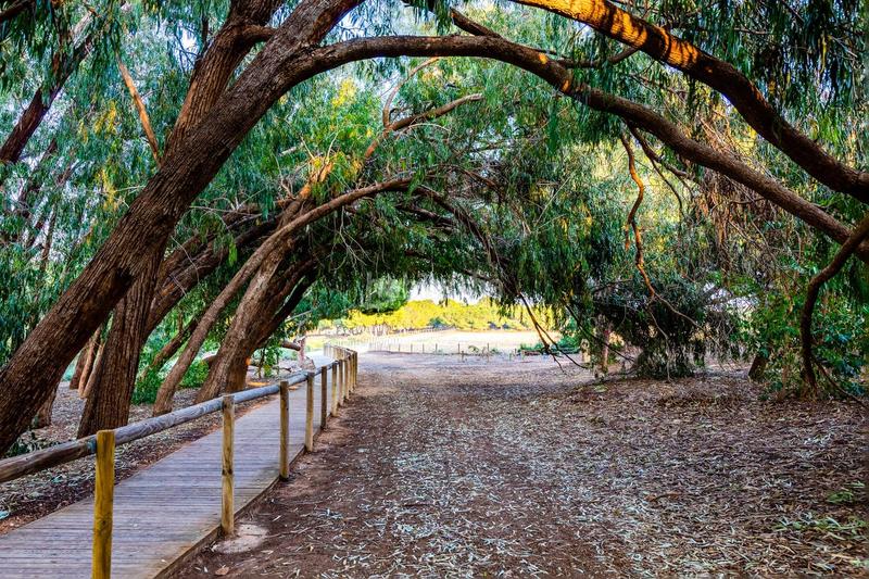 Foto 327b025d-eec4-491d-a3bf-3bc088f0f528. Casa in Zona Carrefour - Urbanizaciones Torrevieja