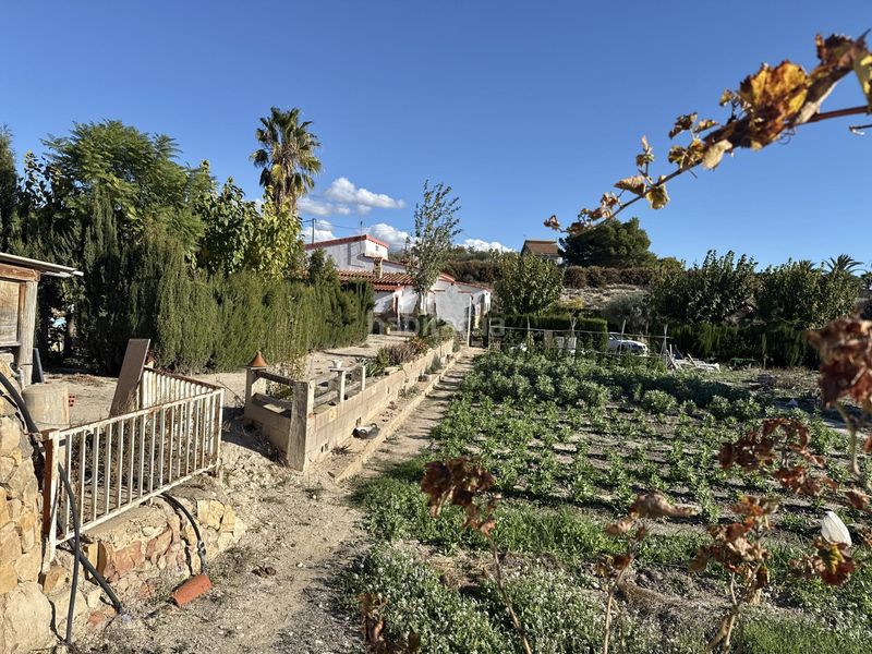 Foto 136410a8-ebf0-4b66-854a-bd9478763a1e. Xalet amb calefacció aparcament piscina a Novelda