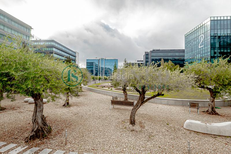 Foto 1d188da0-5194-434d-ad2c-37a54505de7e. Rent office space in Valdebebas - Valdefuentes Madrid