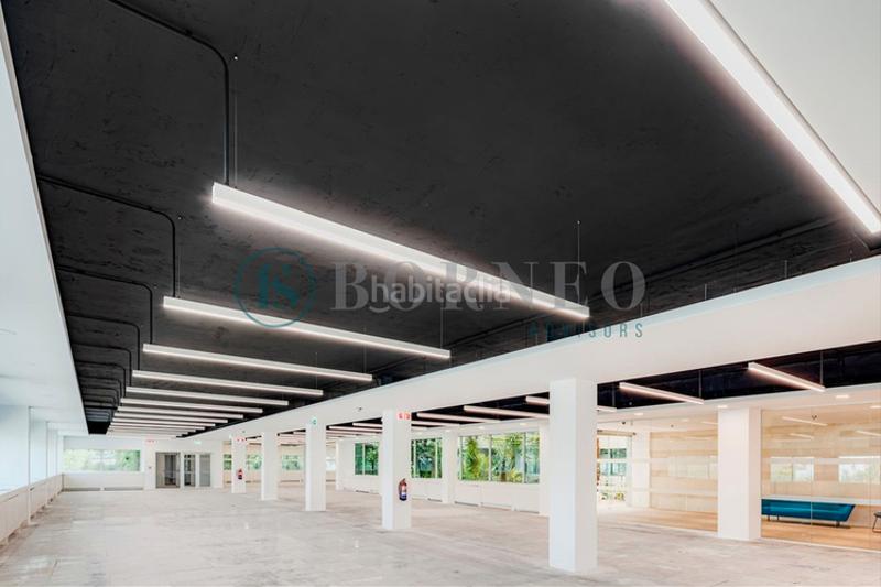 Foto 6b155508-32a6-49ba-a487-78217aab405e. Rent office space in Ciudad Universitaria Madrid