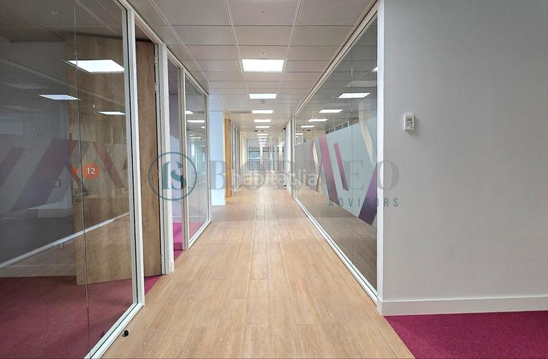 Foto c032a424-d13c-496b-b0d5-3862efa4208e. Location bureau dans Nueva España Madrid