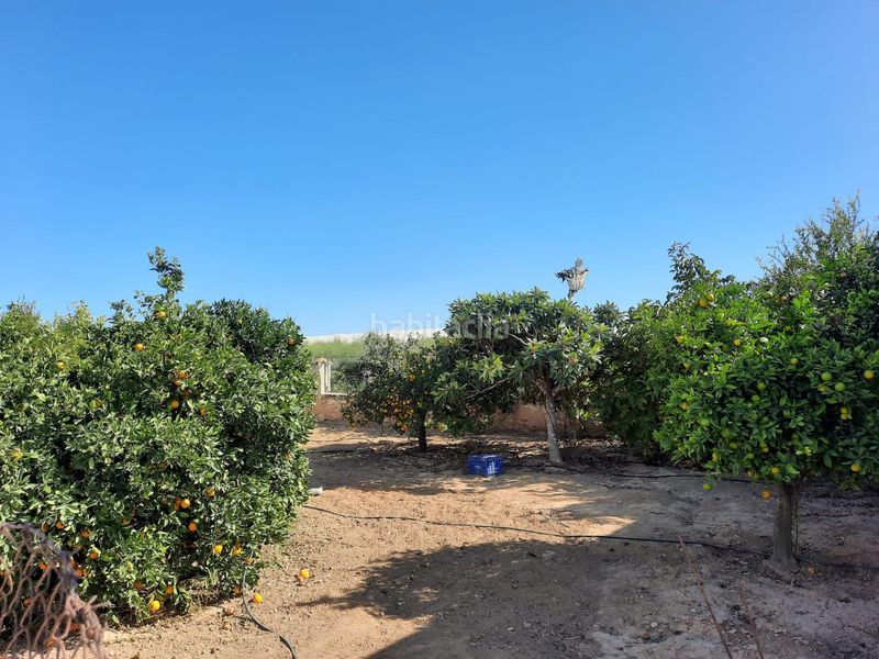 Foto 51bdbaf2-5452-43d5-98a4-6455dc2c8c74. Alquiler casa magnifica casachalet rural en los infiernos cerca de los alcazares con huerto privado en Murcia