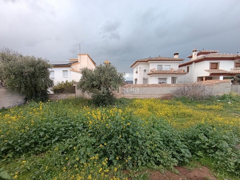 Foto 6895614a-1d20-47a6-809f-8974f400c634. Terreny residencial a La Zubia Ciudad Zubia (La)