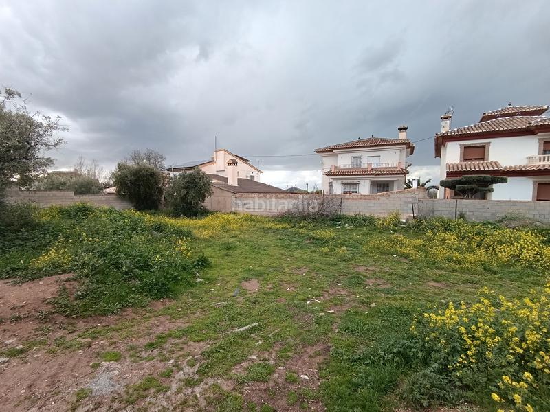 Foto e62e061b-607c-4c17-b9db-dab1e1b07fe3. Terreny residencial a La Zubia Ciudad Zubia (La)