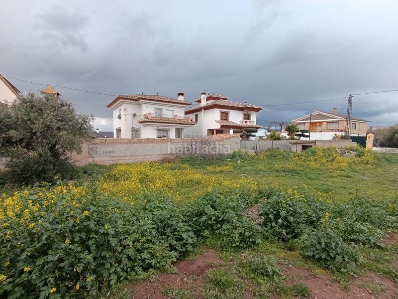Foto e883d728-69cb-4d39-a9b4-28e2c7feea8d. Terreny residencial a La Zubia Ciudad Zubia (La)