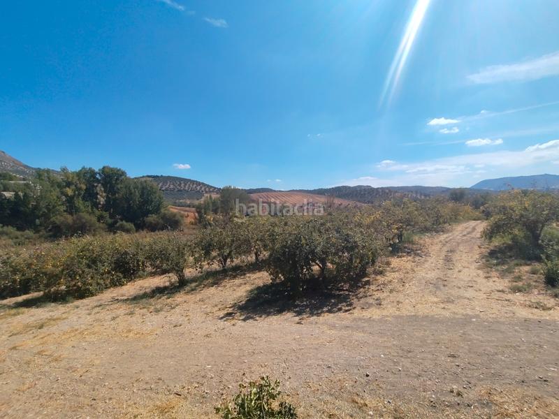 Foto 047f992b-34df-450a-9fdf-2067818f1cfe. Mas dans n/a dans Priego de Córdoba