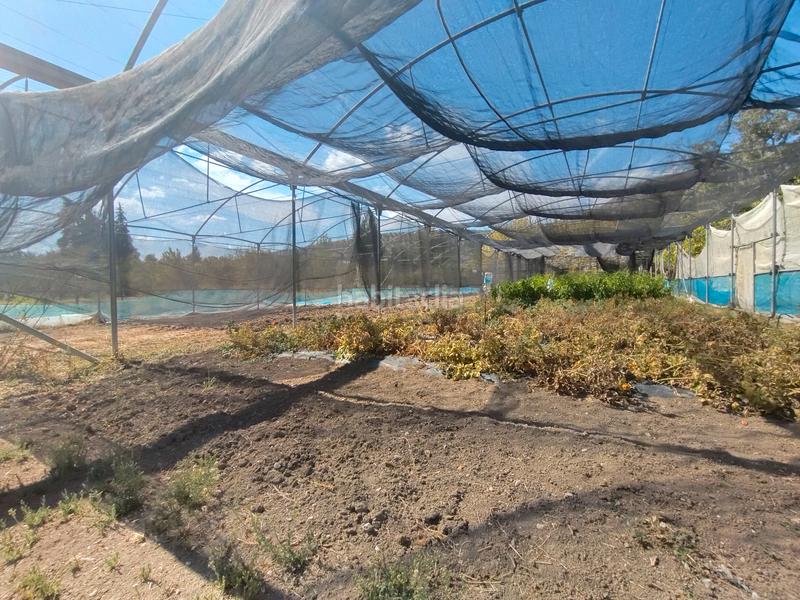 Foto 133bcfab-b8df-44c5-a028-5d5c6ac2d77a. Mas dans n/a dans Priego de Córdoba