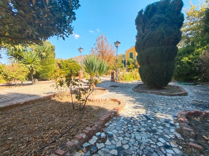 Foto 19e90dfd-93ff-481f-a147-b0a94dc64f96. Mas dans n/a dans Priego de Córdoba