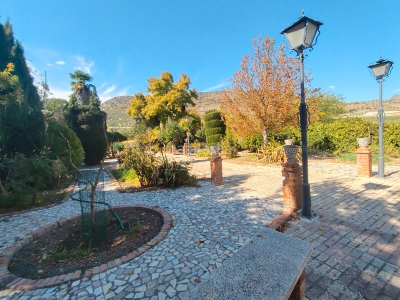 Foto 31bb71a3-b3f8-4707-9b1a-90d45e5c8f9f. Mas dans n/a dans Priego de Córdoba