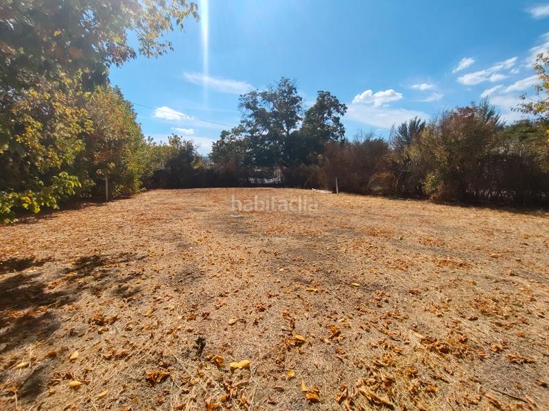 Foto 37a53187-ca77-419f-804f-c3a2e3de898c. Mas dans n/a dans Priego de Córdoba