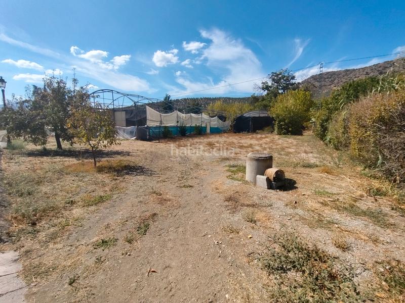 Foto 5102798f-cec1-4120-81ec-bc7e12c23b12. Mas dans n/a dans Priego de Córdoba