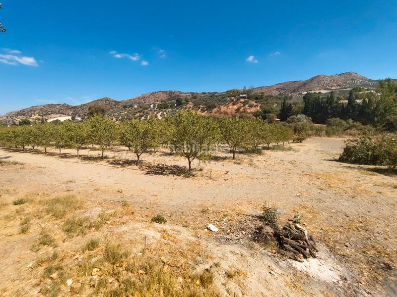 Foto 5bb49e12-7374-42ba-afca-d1fac5eb8c7f. Mas dans n/a dans Priego de Córdoba