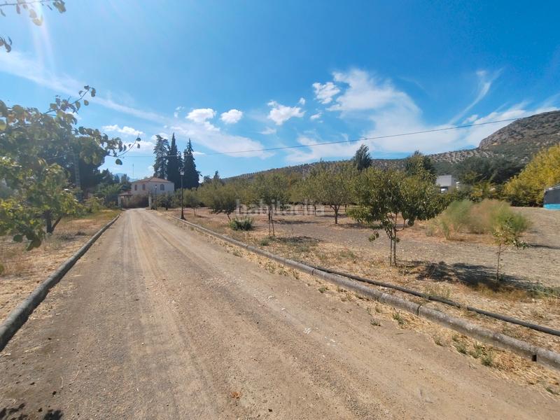 Foto 790039a8-c516-4c82-89a5-58939a07659c. Mas dans n/a dans Priego de Córdoba