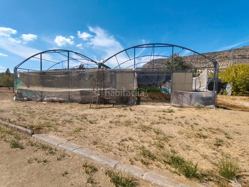 Foto a108521b-eacf-484b-9189-9d4b9acc843e. Mas dans n/a dans Priego de Córdoba