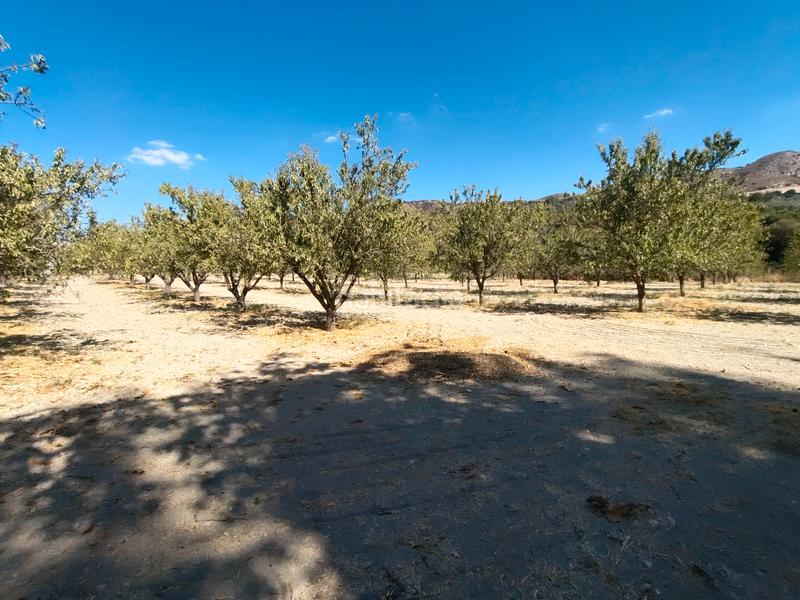 Foto a20e26a0-95e8-4037-8a4a-2daf8eb6c526. Mas dans n/a dans Priego de Córdoba