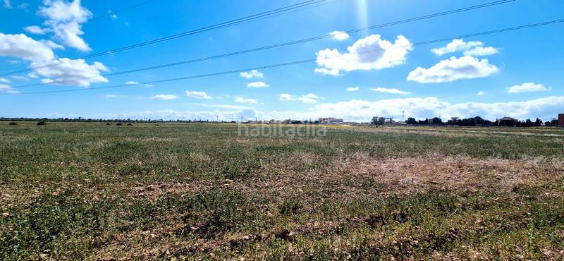 Foto 02499846-b02b-4833-bd06-25993c546c0d. Finca rústica en calle 187 parcela rustica en lomas del rame en Alcázares (Los)