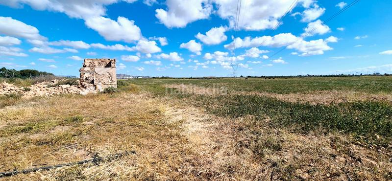 Foto 42e50969-9ee5-4718-9e54-395906dafc29. Finca rústica en calle 187 parcela rustica en lomas del rame en Alcázares (Los)