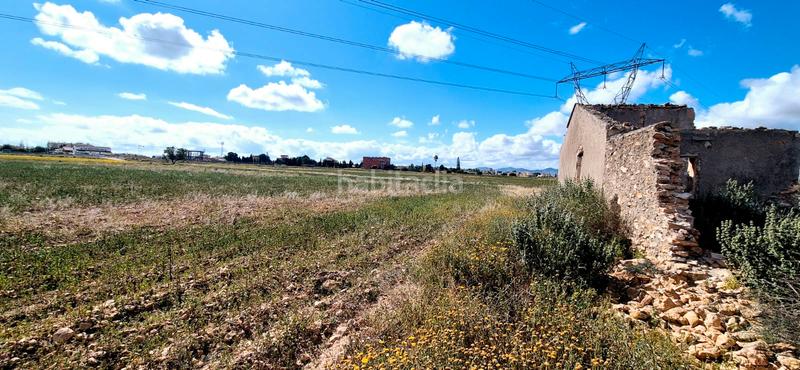 Foto ae73d9e6-3275-4dfe-9ee9-e9a9273ec5b1. Finca rústica en calle 187 parcela rustica en lomas del rame en Alcázares (Los)
