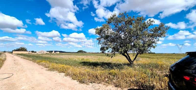 Foto cf89d43d-97c9-4b61-ae5b-b276de8e93dd. Finca rústica en calle 187 parcela rustica en lomas del rame en Alcázares (Los)