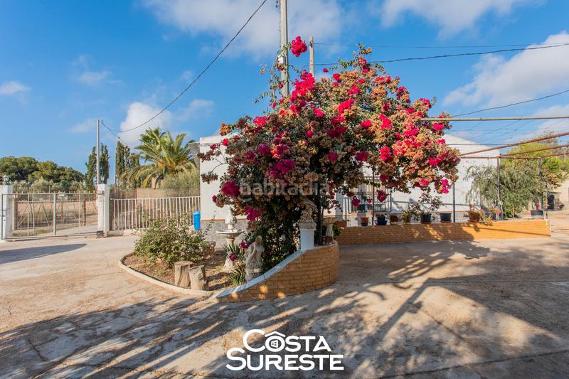 Foto 4f48b437-0717-4215-9cfb-4b8ef0a37a7e. Mas dans diseminado montaner 146 dans Balsicas Torre - Pacheco