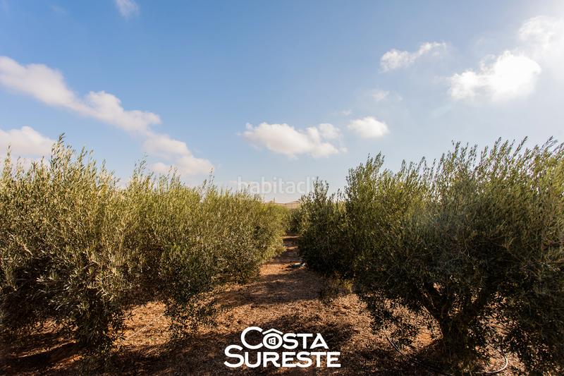 Foto d62614c1-7846-473c-bcbb-11aee88ca6ab. Mas dans diseminado montaner 146 dans Balsicas Torre - Pacheco