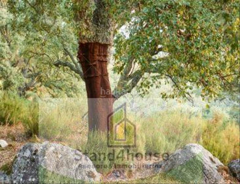 Foto 9f1bb1b7-8e7b-4d04-9e7f-a3fab00a3a78. Terreno residencial terreno en Berrocal