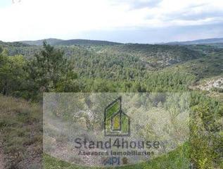 Residential Plot in Berrocal. Berrocalterreno