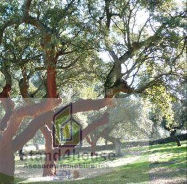 Foto 0e63037a-74d2-4f3b-9581-40fd19db34fe. Terreno residencial terreno en Berrocal