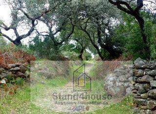 Terreno residencial en Escacena del Campo. Escacena del campoterreno