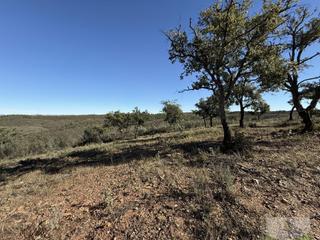 Wohngrundstück in Berrocal. Berrocalterreno