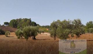 Terreno residenziale in Villarrasa. Villarrasaterreno