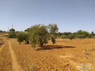 Terreny residencial a Villarrasa. Villarrasaterreno