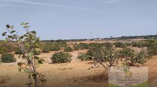 Terreno residenziale in Villarrasa. Villarrasaterreno