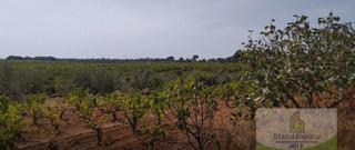 Terrain résidentiel à Villarrasa. Villarrasaterreno