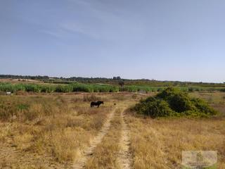 Terreno residencial en Villarrasa. Villarrasaterreno