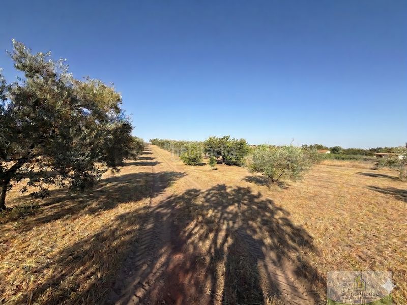Foto ef9b0a94-9cd6-4c23-b567-b53d562a798c. Masía la palma del condadofinca rustica en Palma del Condado (La)