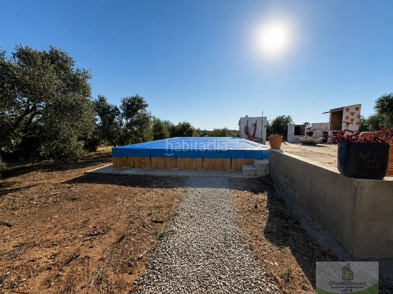 Foto fafc3d09-20f3-48de-98a3-b92656163d0d. Masía la palma del condadofinca rustica en Palma del Condado (La)