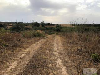 Terrain résidentiel à Bollullos Par del Condado. Bollullos par del condadoterreno