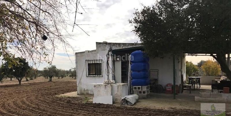 Foto 0473c7ea-ad19-46a5-91c1-5b6b235c2d7b. Masia a Bollullos Par del Condado