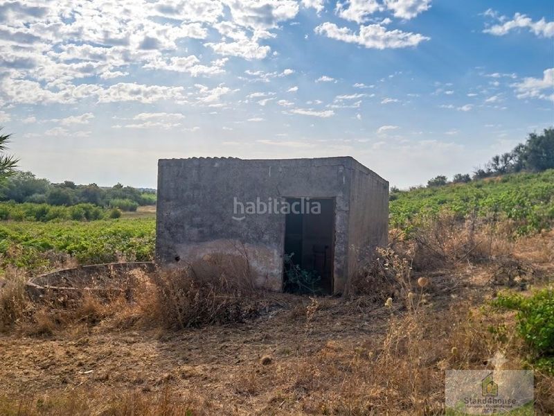 Foto 8e3bb7fe-ffd5-4311-8460-32a98e07661a. Masia a Bollullos Par del Condado