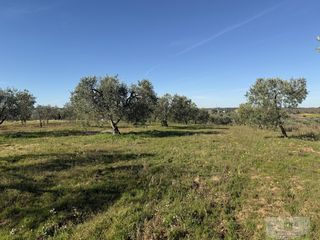 Masia a Bollullos Par del Condado. Bollullos par del condadofinca rustica