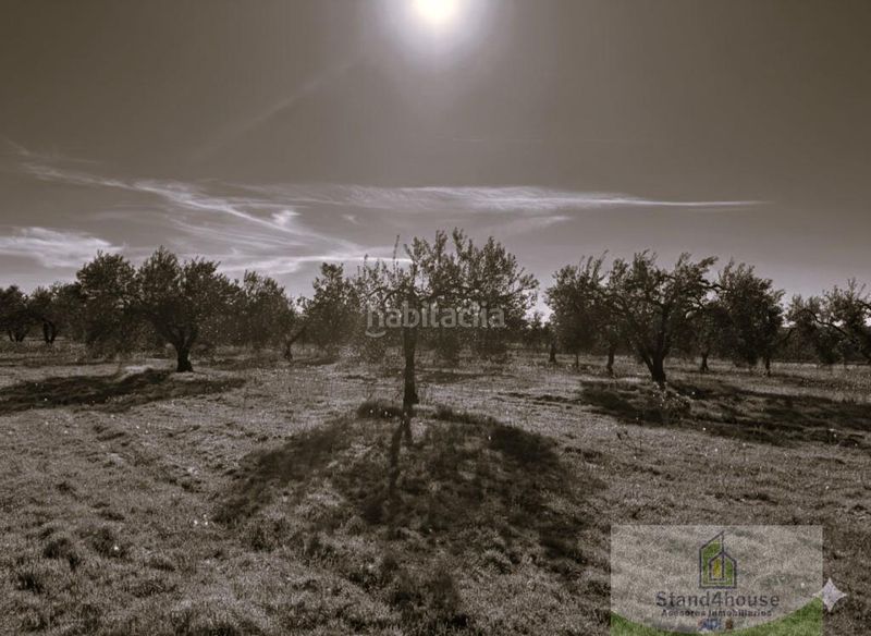 Foto cf7efdc1-3eae-4666-85a9-146df60096c8. Masia a Bollullos Par del Condado