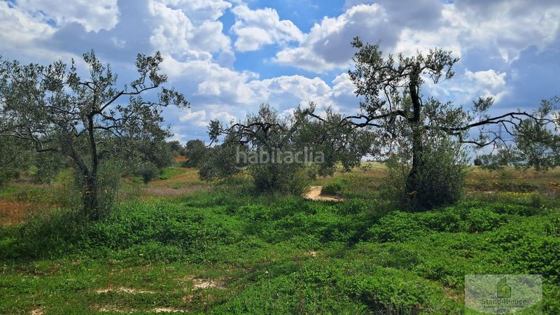 Foto 45b81698-6e1a-447c-b464-452c34b1641e. Masia a Bollullos Par del Condado