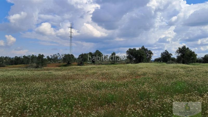 Foto 7183e782-45ca-4c57-a103-1016502c6f14. Masia a Bollullos Par del Condado