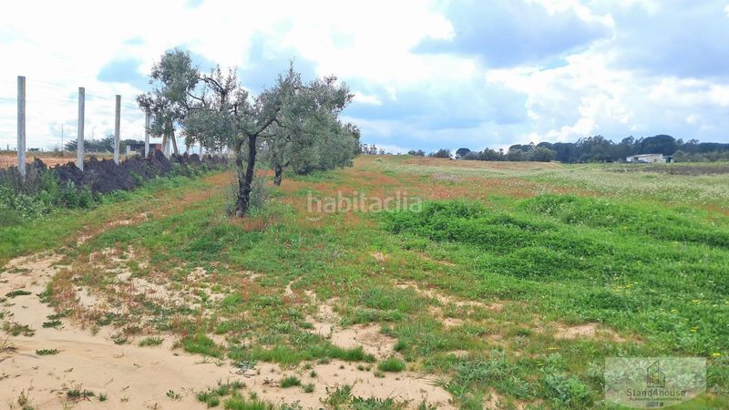 Foto cfb00c32-6dbf-4766-a3f5-62bd40d8c755. Masia a Bollullos Par del Condado